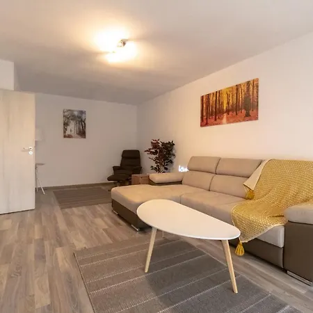 Transylvanian Apt. W/ Lrg. Terrace And Parking - Karpatenhaus